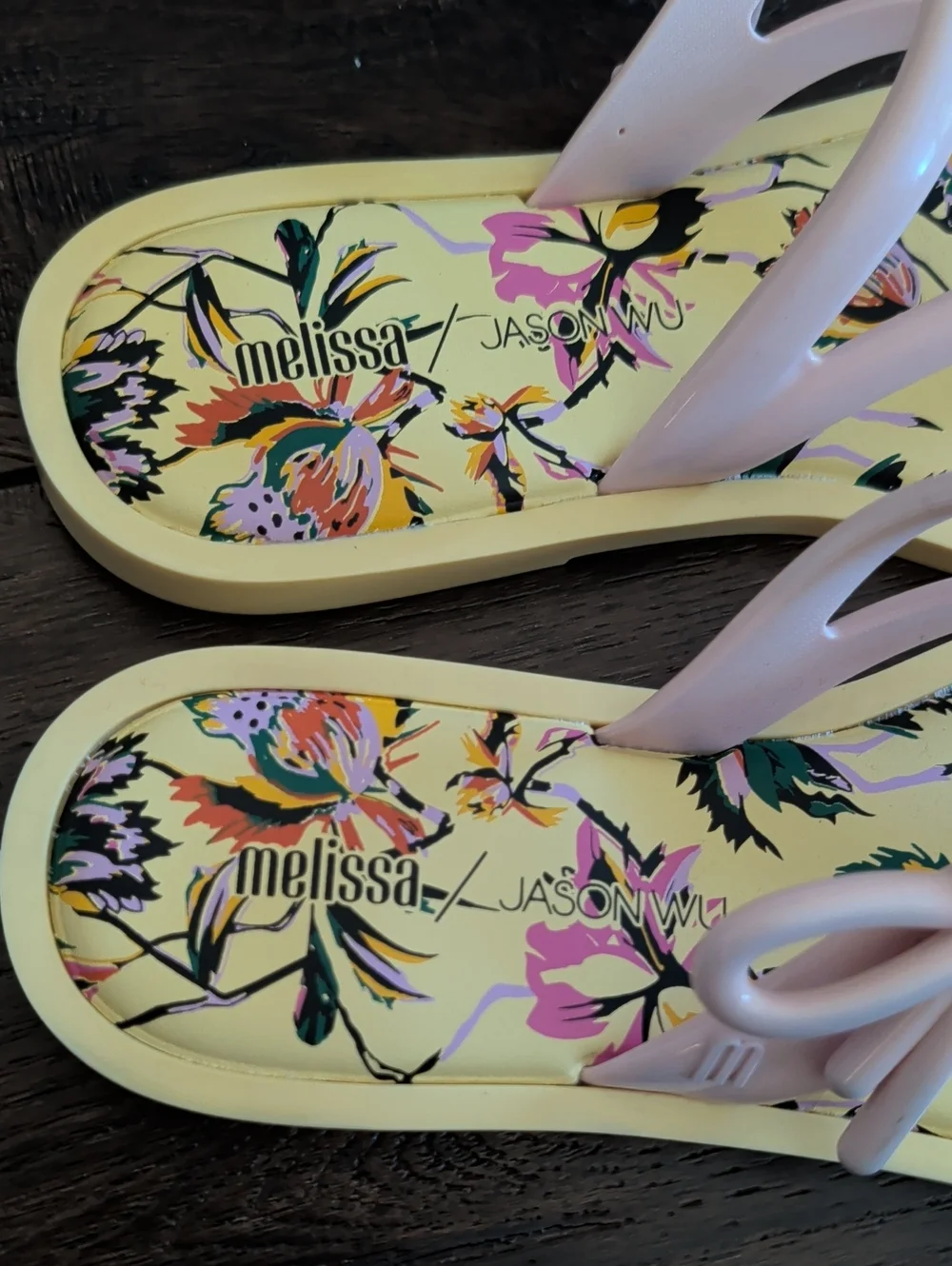 Melissa / Jason Wu Flip Flop Sandals